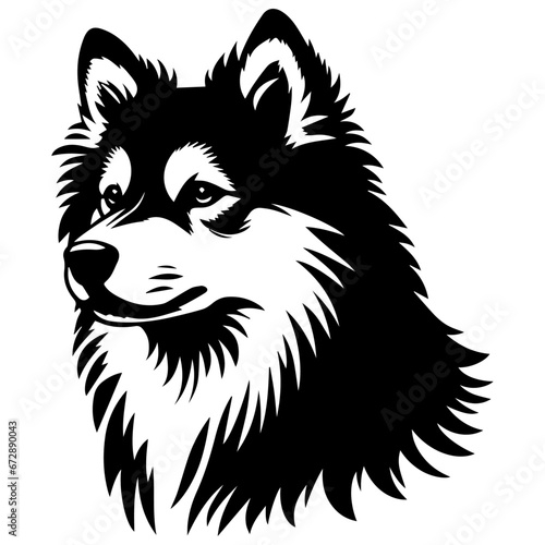 Yakutian Laika vector silhouette illustration black color