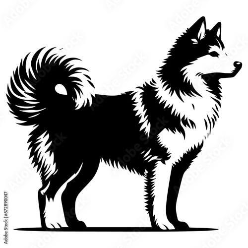 Yakutian Laika vector silhouette illustration black color