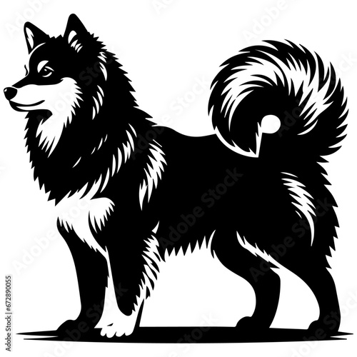 Yakutian Laika vector silhouette illustration black color