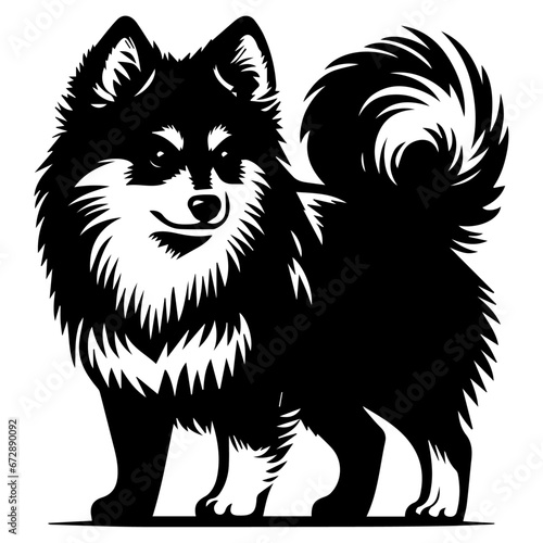 Yakutian Laika vector silhouette illustration black color