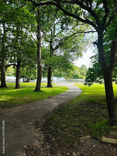 Fototapeta Naklejka Na Ścianę i Meble -  Scenic view of a path winding its way through a grassy park