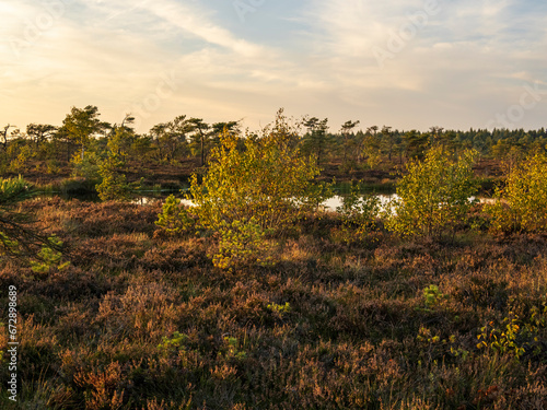 Das Naturschutzgebiet  Schwarzes Moor  im Abendlicht  Biosph  renreservat Rh  n  Unterfranken  Franken  Bayern  Deutschland