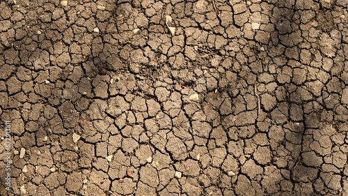 barren dry soil with cracked crust as a natural background on the theme of climate change and drought in agriculture, graphic texture of dried out earth in cracks in sunlight