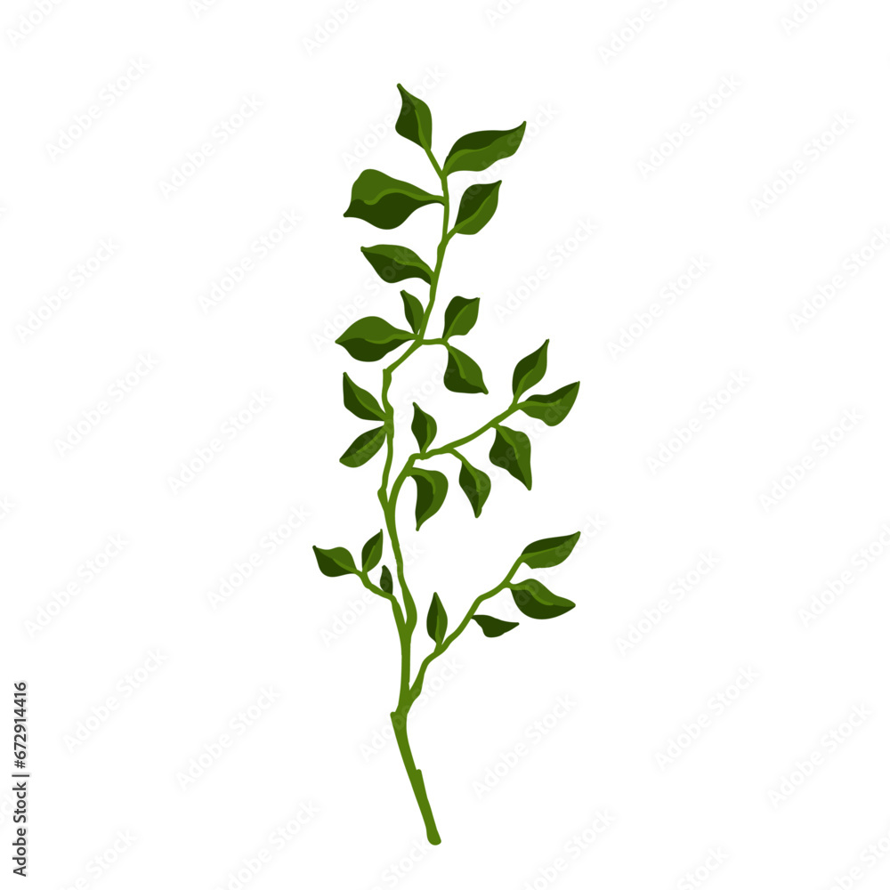 Fototapeta premium Green branch with foliage. Vector graphics.