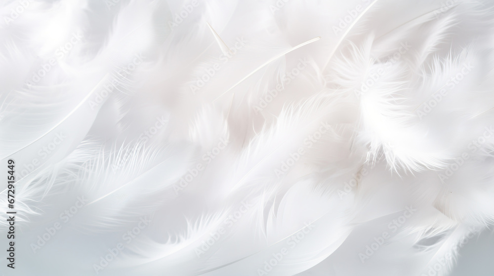white feathers background white feathers background