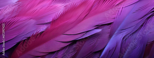 Close-up of vibrant purple and blue feathers.