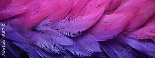 Close-up of vibrant purple and blue feathers.