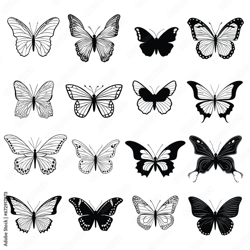 Hand drawn butterfly set outline on white background Hand drawn butterfly set outline on white background