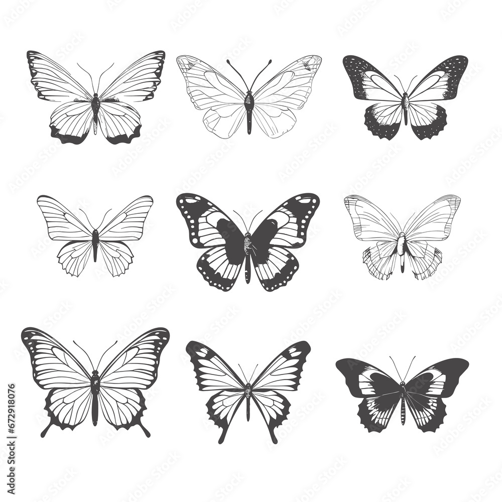 Hand drawn butterfly set outline on white background Hand drawn butterfly set outline on white background