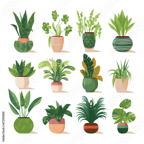 House Plants set flat design illustration