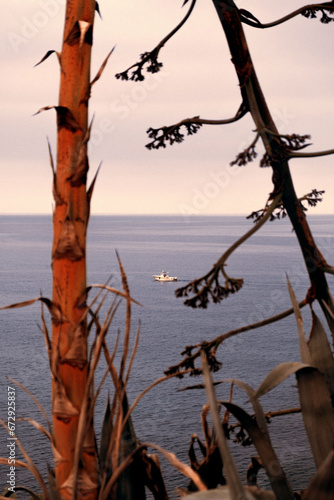 sunset on the sea 