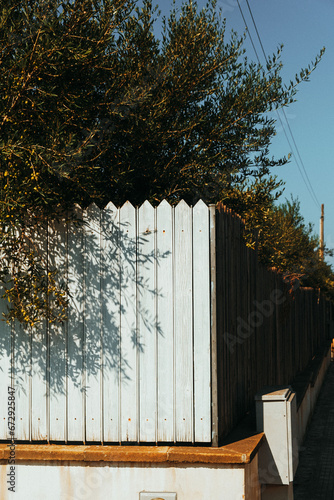 fence in the park