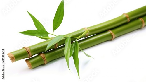A tall  slender bamboo shoot with distinct nodes  delicate green leaves  and a graceful fan-like shape. Isolated on a white background  it exudes simplicity  elegance  and purity. Symbolizing growth