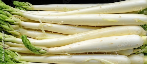 In spring greengrocers offer deliciously ripe white asparagus tips for purchase photo