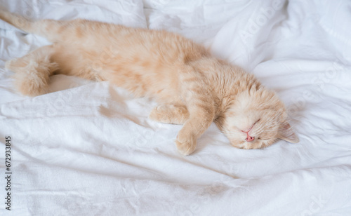 Ginger cat sleeps on a white blanket, cozy home and vacation concept, cute ginger or ginger kitten.