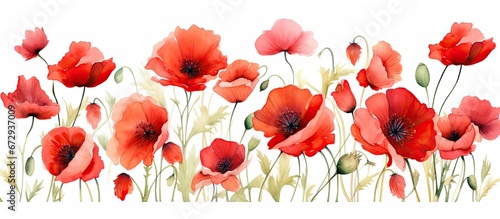 An illustration of red poppies painted with watercolors stands out against a white background resembling a wildflower artwork that captures the essence of spring
