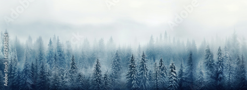Alpine winter forest covered in dense fog and frost. Panorama with copy space