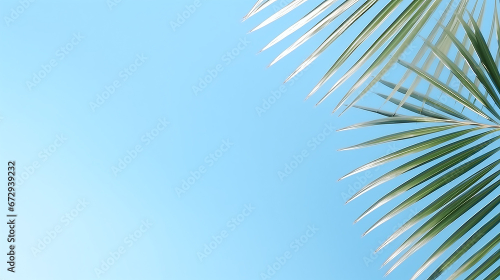 vacation picture with palm tree in front of a fresh blue colored background with copy space vacation picture with palm tree in front of a fresh blue colored background with copy space