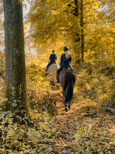 Zwischen Herbstlaub und Pferdeglück: Ein Ausritt durch den bunten Wald