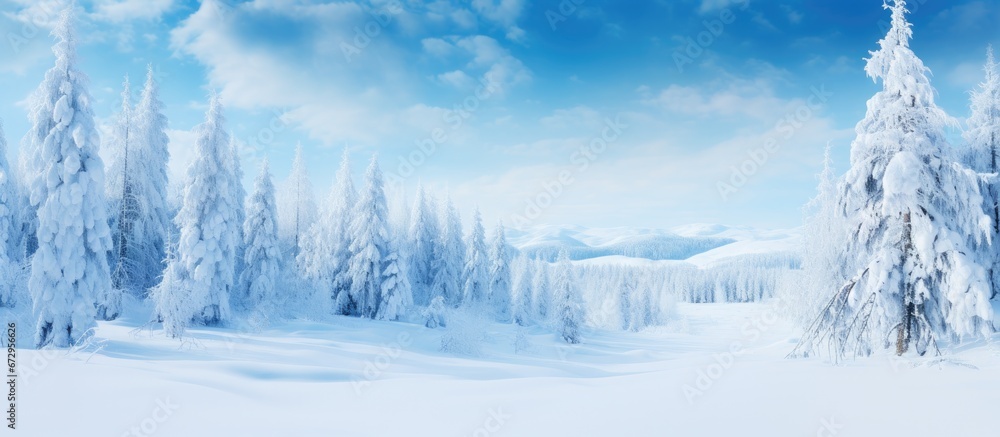 Gorgeous wintertime view exhibiting trees embraced by a blanket of snow