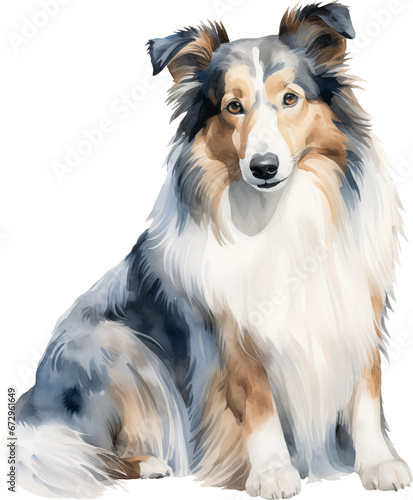 Shetland sheepdog watercolor illustration created with Generative AI technology © Anastasiya