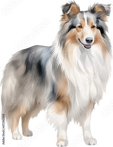 Shetland sheepdog watercolor illustration created with Generative AI technology