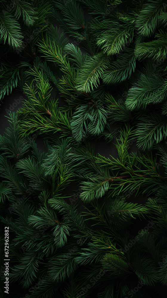 Christmas tree branches background. Christmas tree branches background.