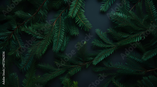 Christmas tree branches background.