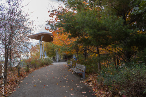 Corktown during fall in Toronto photo