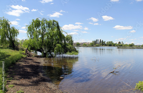 Trees, grass and water at Dangars Lagoon near Uralla in New South Wales, Australia photo