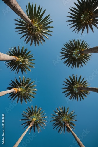 Palm Trees © FadedNeon