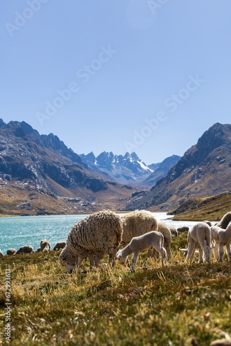 Aerial view of the Querococha lagoon, in the Ancash region.