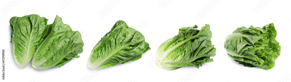 Fresh romaine lettuce heads isolated on white Fresh romaine lettuce heads isolated on white