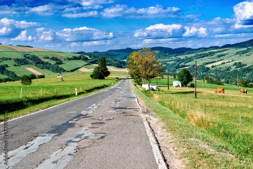 Fototapeta Naklejka Na Ścianę i Meble -  Grand landscape in the Carpathian Mountains, Poland. Alpine meadows.