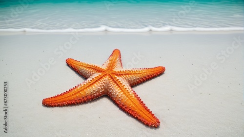 Starfish on a beach shore