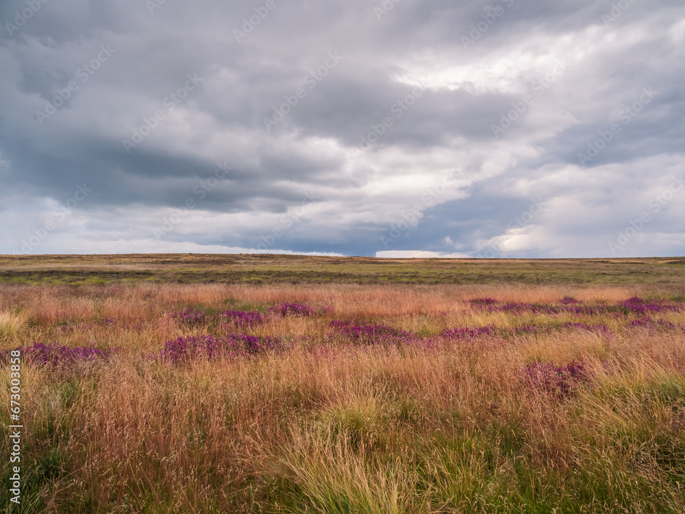 Yorkshire Moors near Whitby