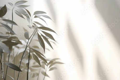 AI generated illustration of a white wall with shadows near a potted plant