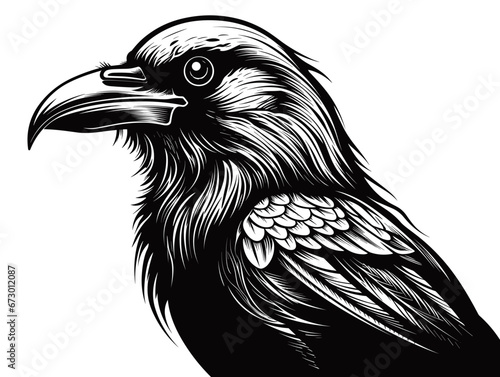 Drawing of Eagle head logotype mascot in engraving illustration separated, sweeping overdrawn lines.