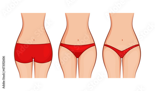 Types of woman panties front view vector isolated on white background.