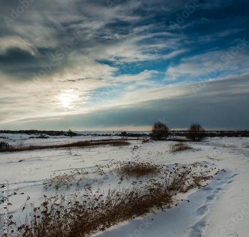 Bright snowy field under winter sun.