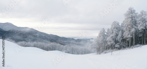 A serene winter landscape covered in snow during a snowfall.frost-covered trees. © jam