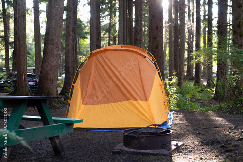 tent in the forest