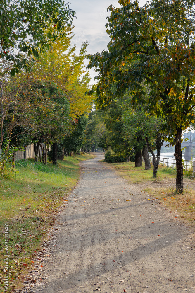 紅葉し始めた秋の散歩道