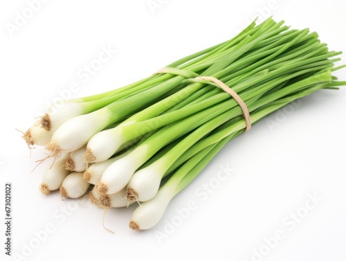 Bunch of green onions isolated on white background
