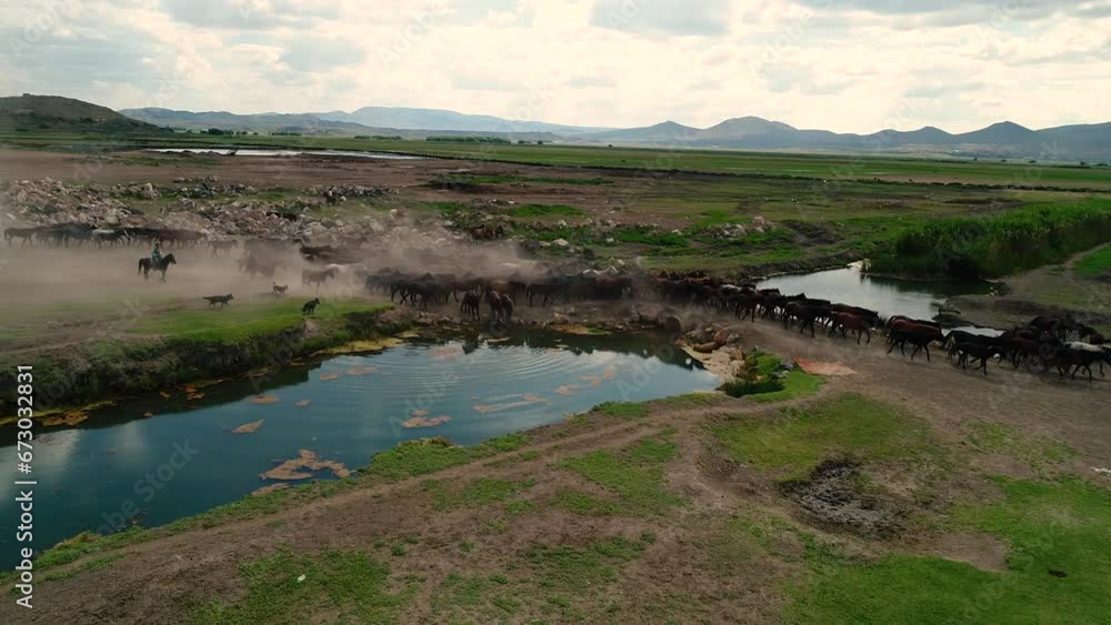 Aerial movie with herd of thoroughbred horses moving on the desert.Wild horses Kayseri in Türkiye, The concept of freedom, strength,independence.Horses galloping in pasture enjoying.Dusty environment. Aerial movie with herd of thoroughbred horses moving on the desert.Wild horses Kayseri in Türkiye, The concept of freedom, strength,independence.Horses galloping in pasture enjoying.Dusty environment.
