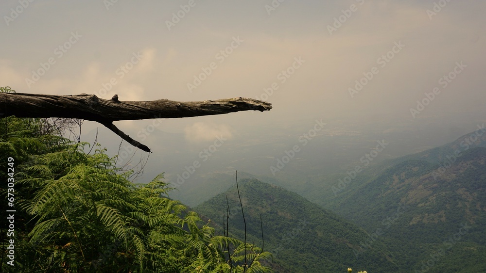 Fototapeta premium Beautiful dense green lush landscapes of kodaikanal hillstation filled with mist and cloudy sky.