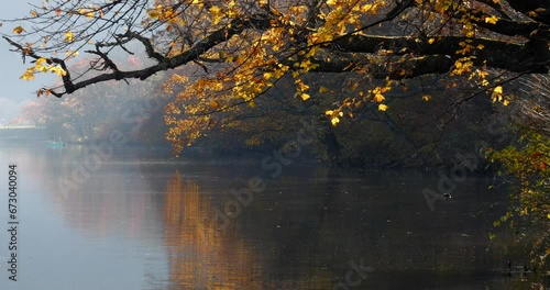 A view of the lakeside with autumn leaves, hazy with morning mist.