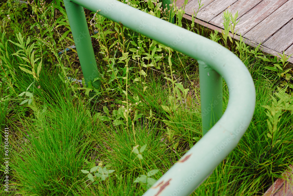 Rustic Green Handrail Amidst Vibrant Natural Growth