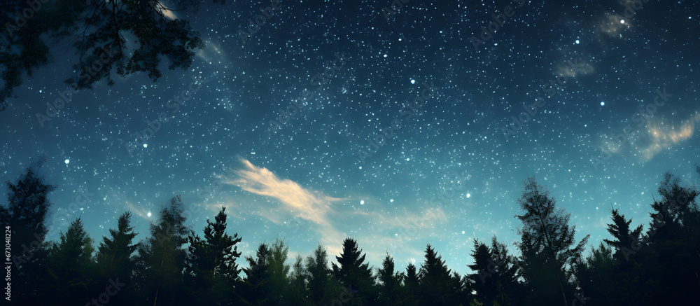 Sky at the forest at night, point of view from ground Sky at the forest at night, point of view from ground