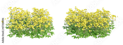 Flowering shrubs 3D rendering with transparent background, for illustration, digital composition, architecture visualization